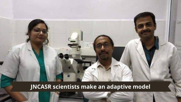 JNCASR scientists make an adaptive model