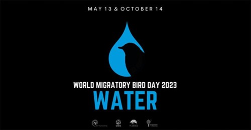 World Migratory Bird Day 2023- Theme