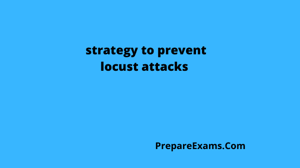 strategy to prevent locust attacks