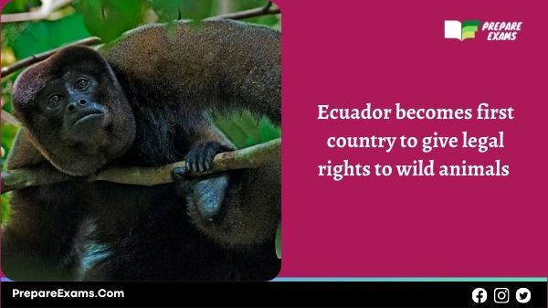 Ecuador becomes first country to give legal rights to wild animals