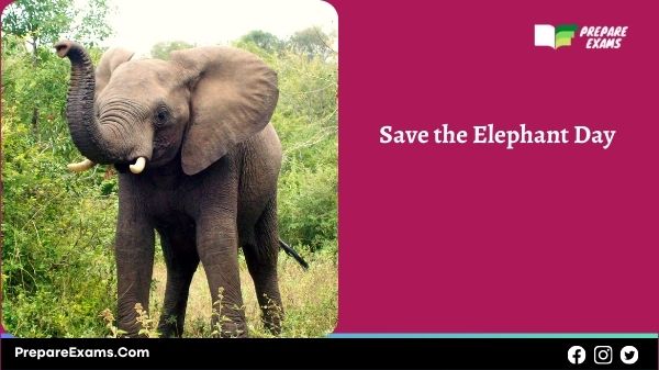 Save the Elephant Day