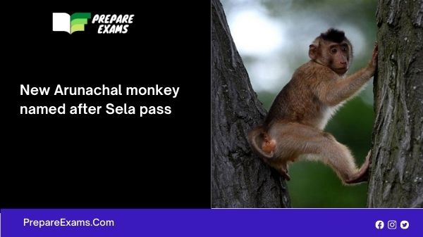 New Arunachal monkey named after Sela pass