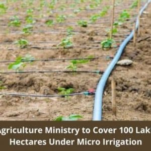Agriculture Ministry to Cover 100 Lakh Hectares Under Micro Irrigation