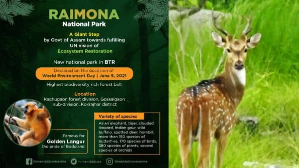 Assam CM Himanta Biswa Sarma Declared Raimona Reserve Forest as Sixth National Park in State