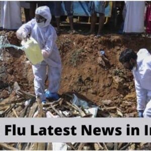 Bird Flu Latest News in India