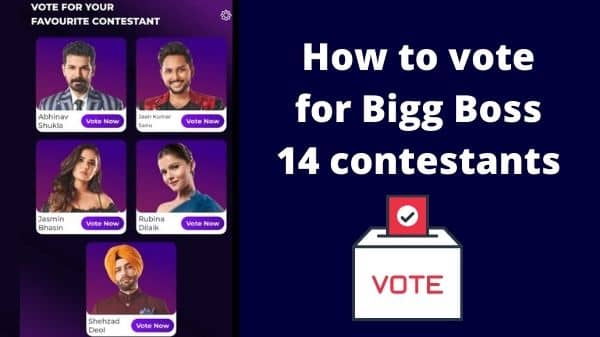 How to vote for Bigg Boss 14 contestants
