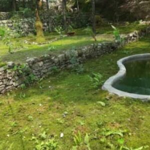 India’s first cryptogamic garden opened in Dehradun