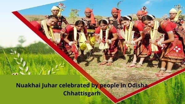 Nuakhai Juhar celebrated by people in Odisha