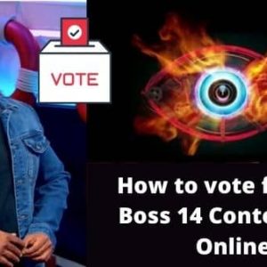 How to vote for Bigg Boss 14 Contestants Online