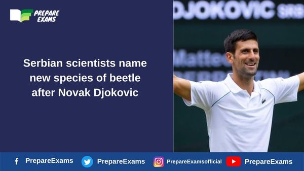 Serbian scientists name new species of beetle after Novak Djokovic