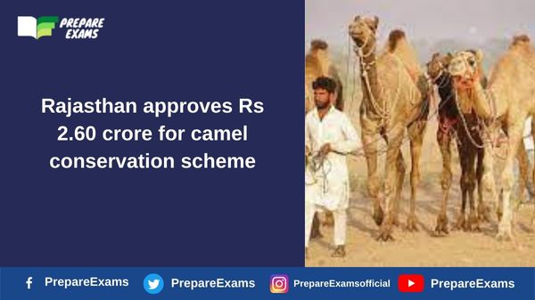 Rajasthan approves Rs 2.60 crore for camel conservation scheme
