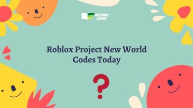 Roblox Project New World Codes Today 30 December 2022