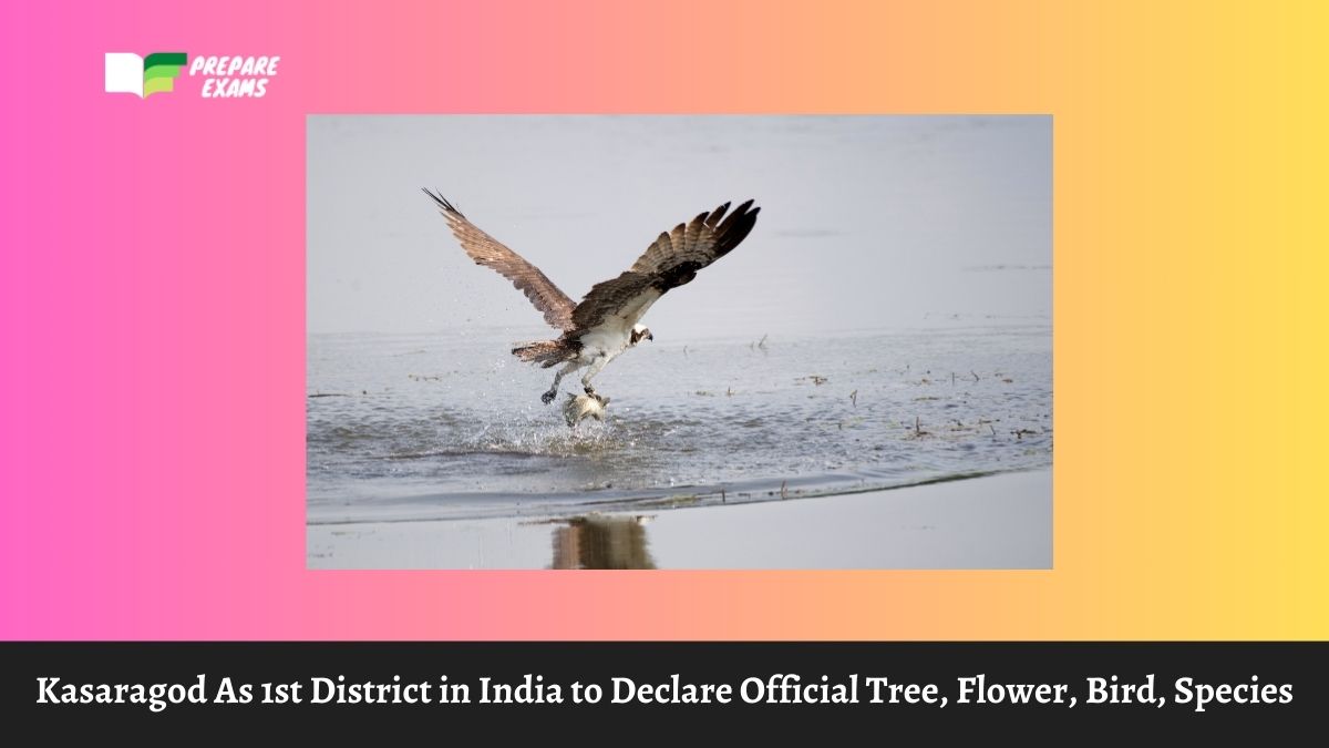 Kasaragod As 1st District in India to Declare Official Tree, Flower, Bird, Species