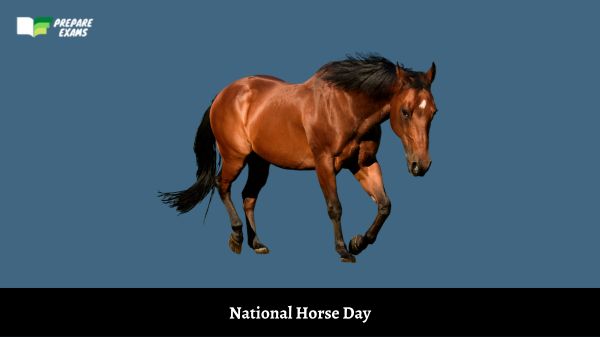 National Horse Day