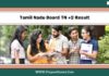 Tamil Nadu Board TN +2 Result